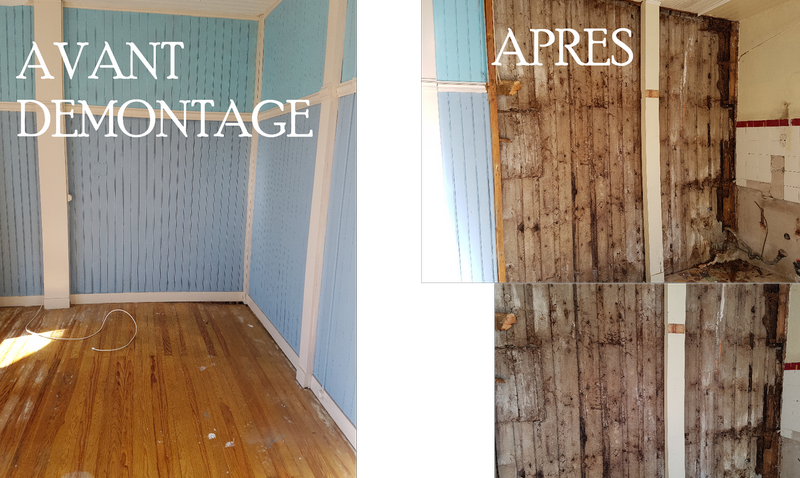 Dégât termite sur structure de bâtiment