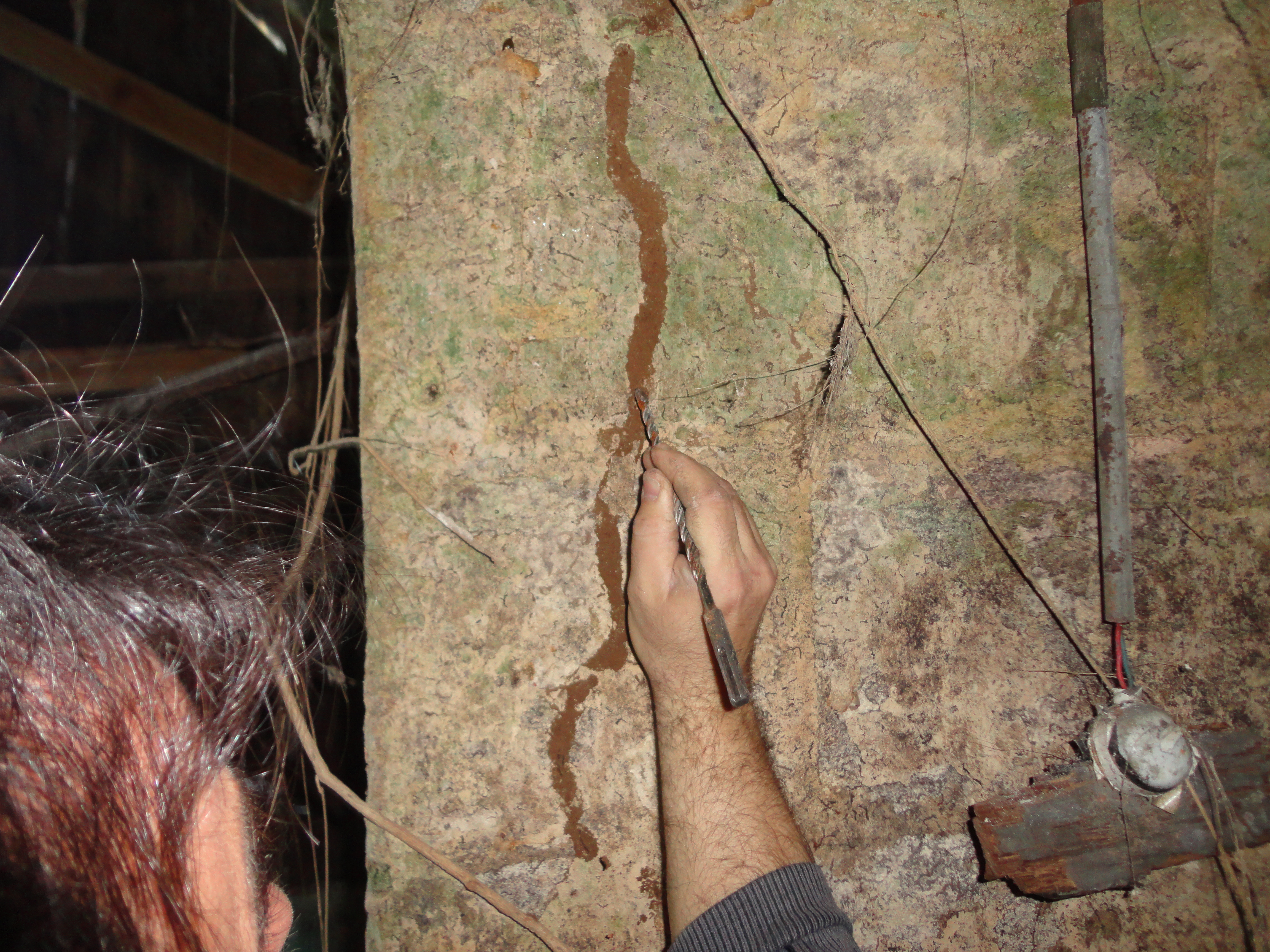 Chantier de traitement des charpentes