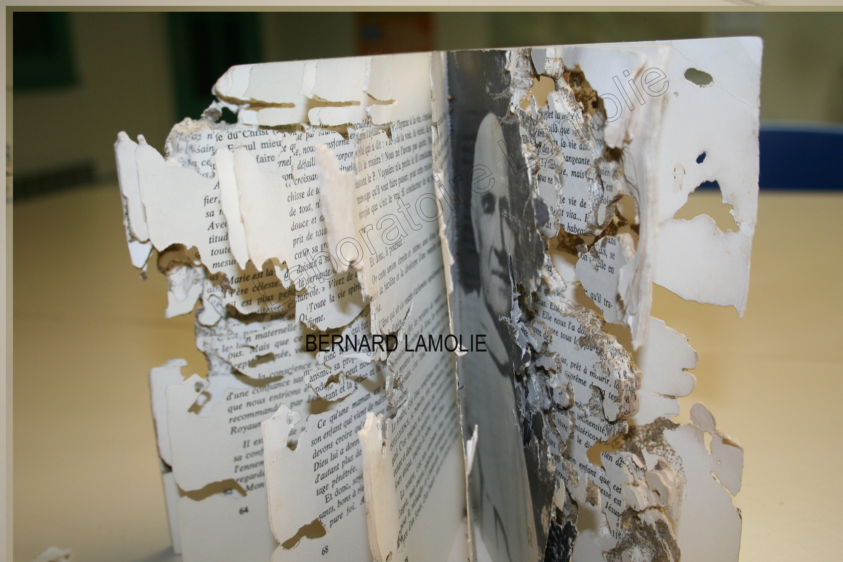 Livre ancien dégradé par termites