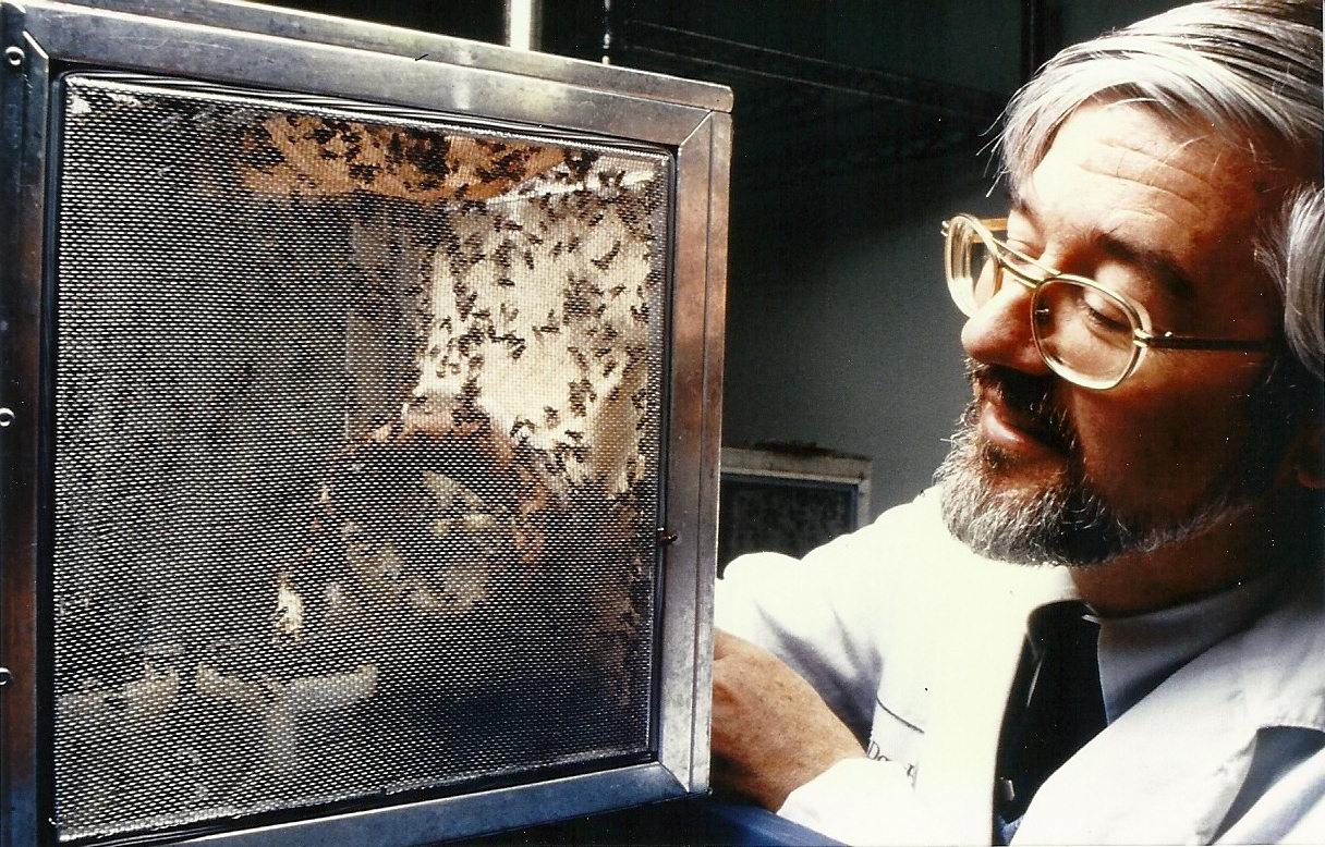 Photographie de Bernard Lamolie